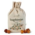 Soapberries (soapnuts) - 250g