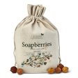 Soapberries (soapnuts) - 500g