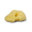 Silk sea sponge 4-5 cm
